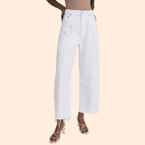 AGOLDE Dagna High Rise Baggy Pleat Pants